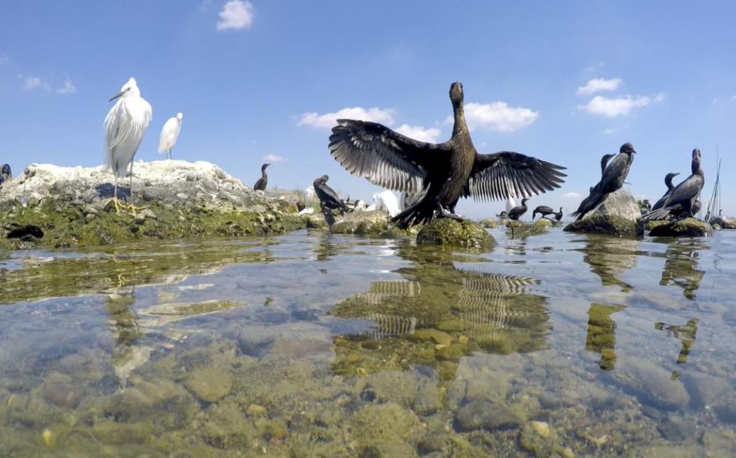 כנרת ים של חיים