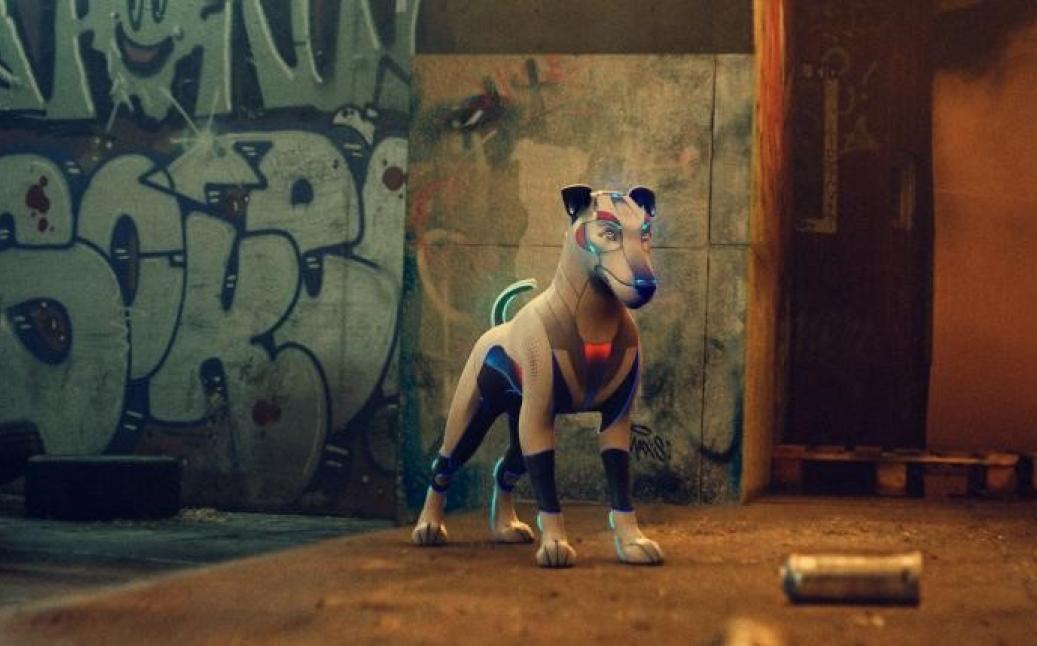 ספיי דוג - רוחב