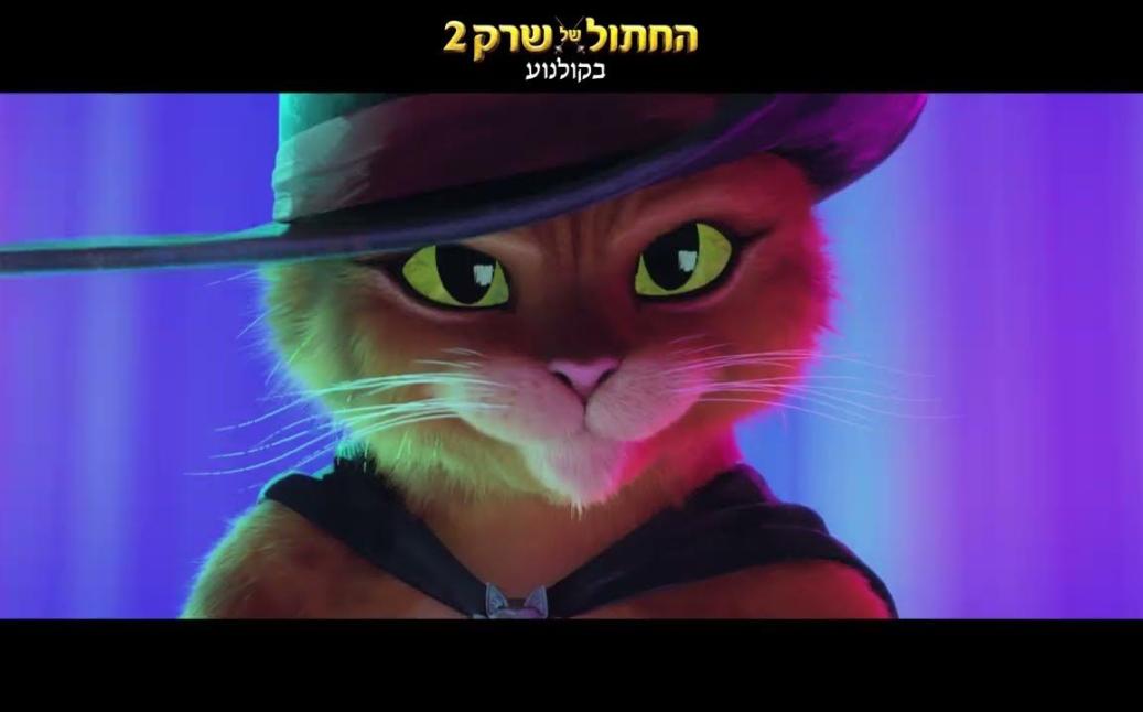 חתולי