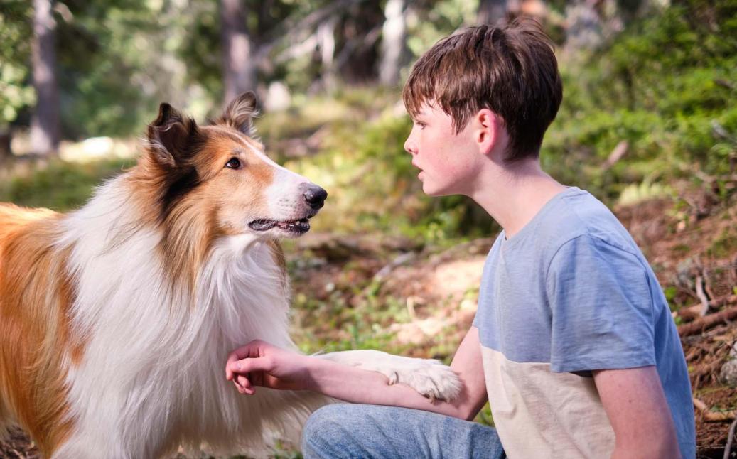 פריים מתוך לאסי 2