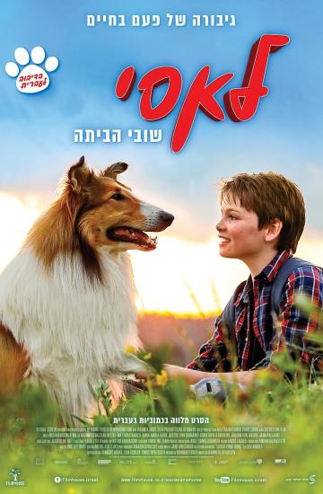 לאסי שובי הביתה פוסטר