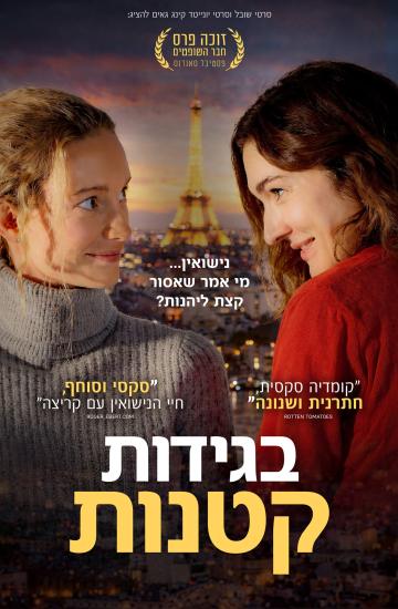 פוסטר הסרט בגידות קטנות